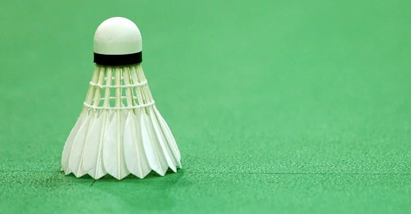 Changing the speed of a badminton shuttlecock - A blog by Badminton Warehouse!